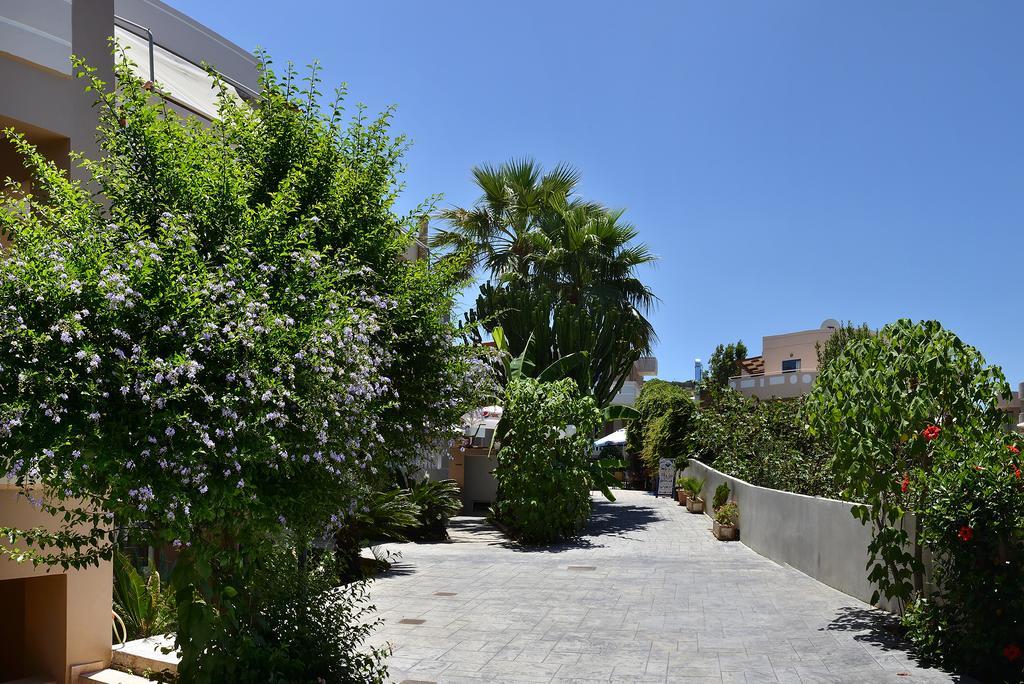 Akatos Hotel Agia Marina エクステリア 写真